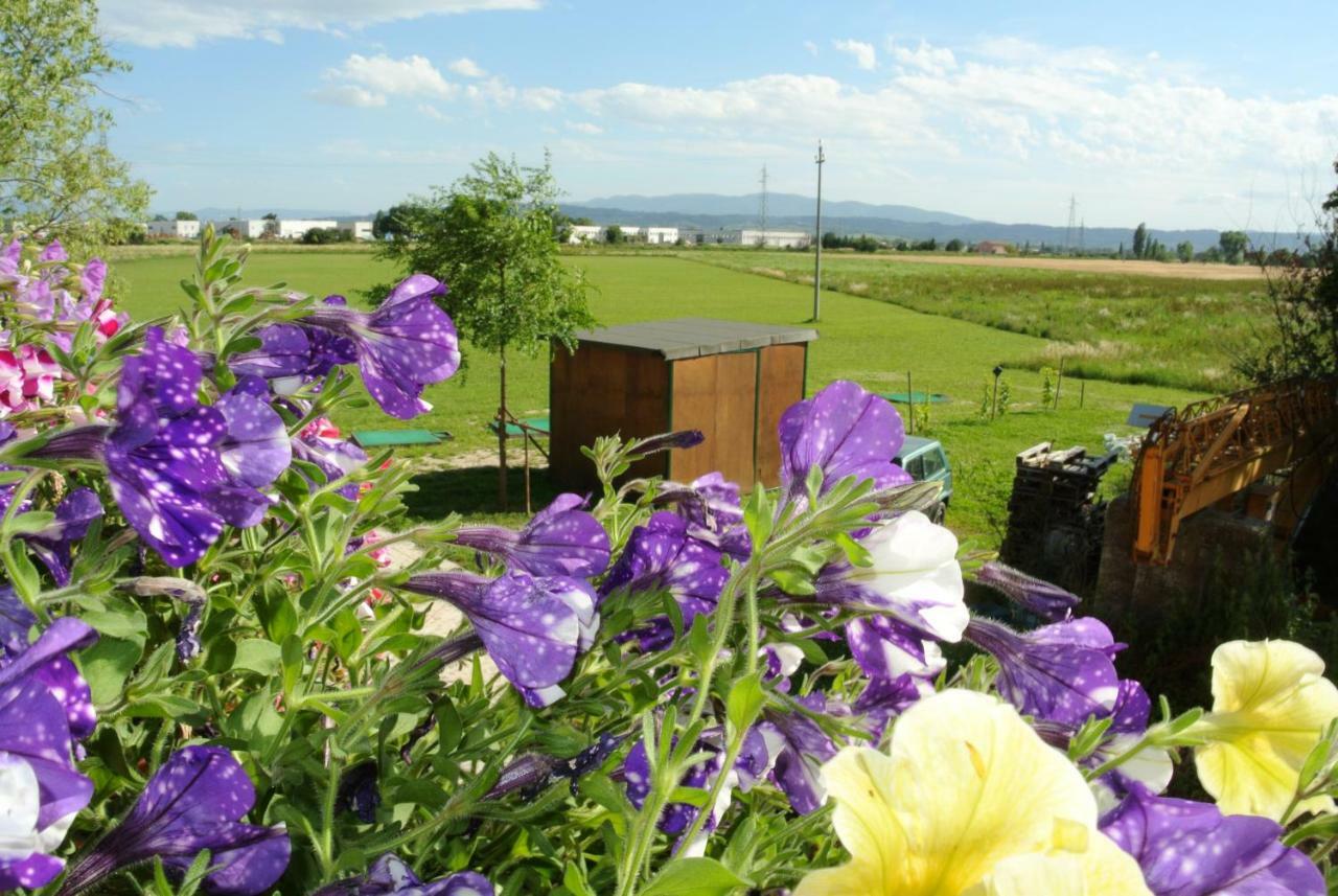 Antiche Dimore San Felice Spello Exterior foto